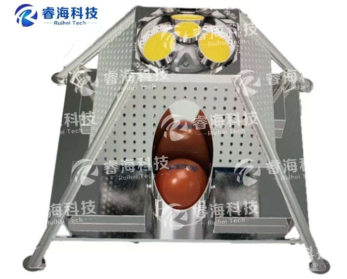 微信圖片_20250225175530